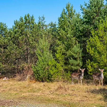 別荘 Gorgeous In With Sauna *