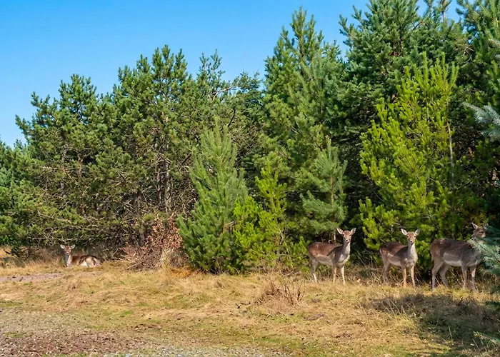 Semesterbostad Gorgeous In With Sauna *
